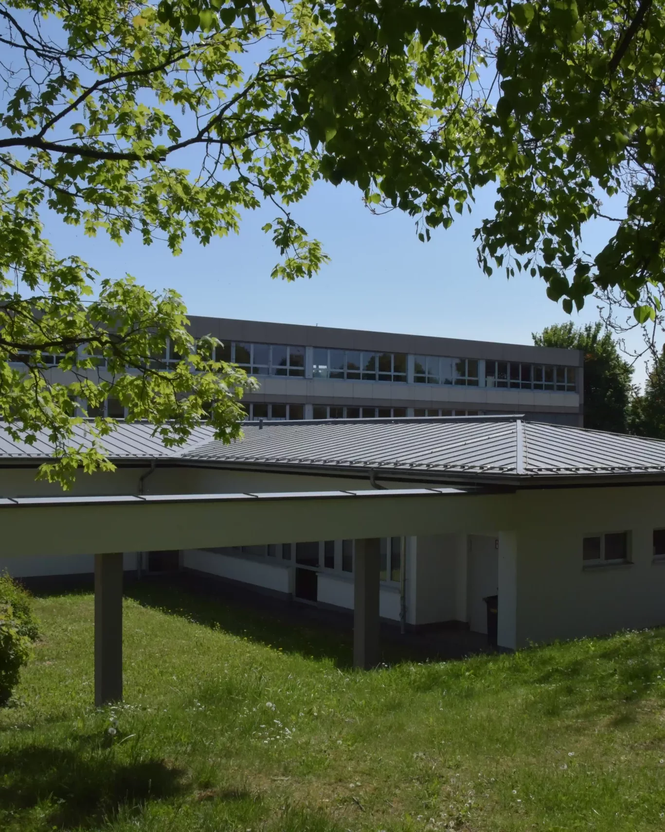 Lindenschule Websitebild Schulgebaeude Seitenansicht